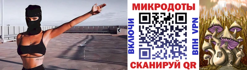 как найти наркотики  Верея  Галлюциногенные грибы Psilocybe 